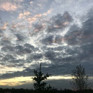 Meet your Posher, Kyla